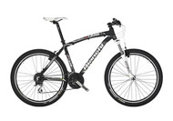 Kuma 26.5